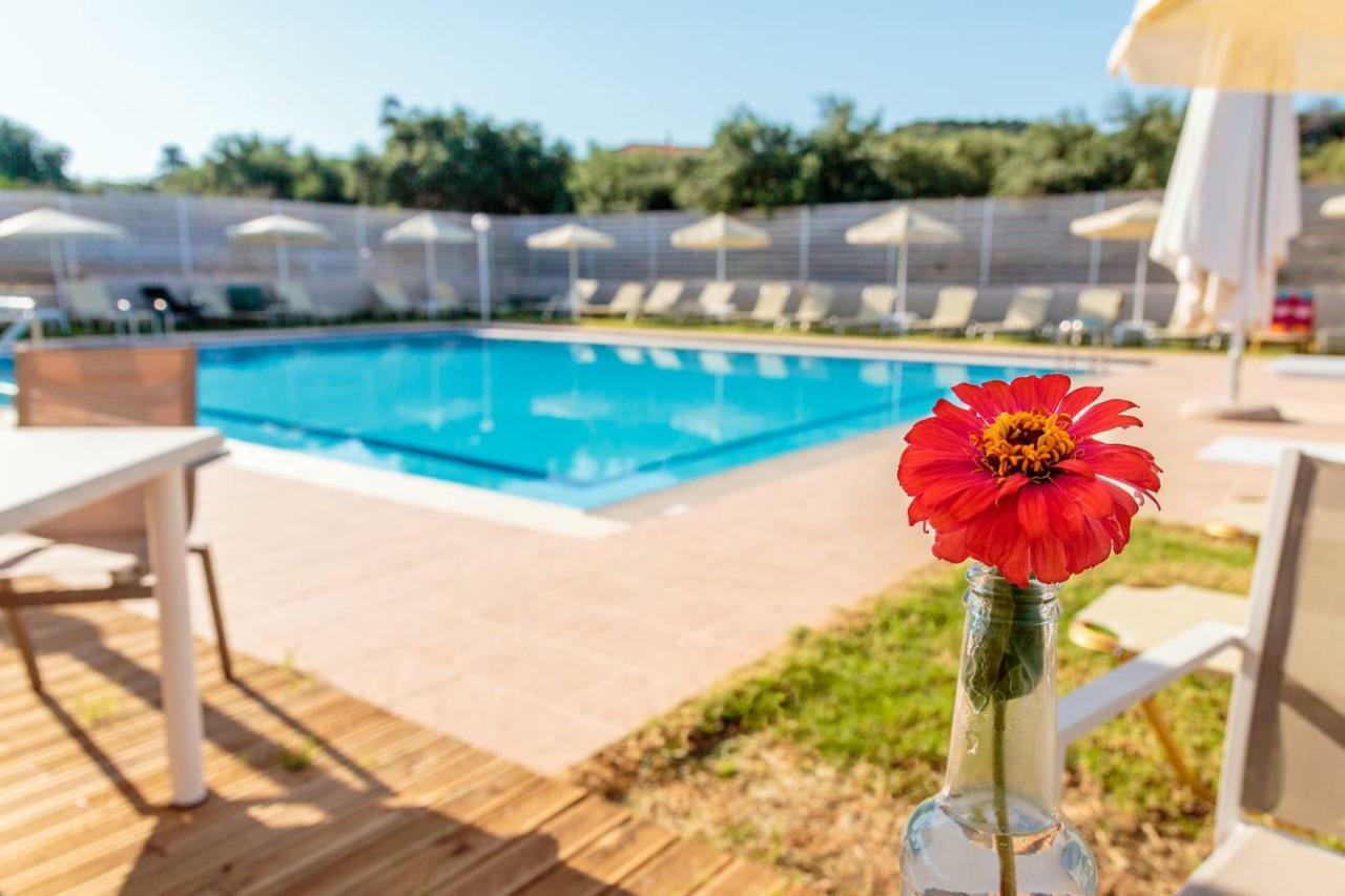 Charming And Comfy House Apartment Agia Marina  Bagian luar foto